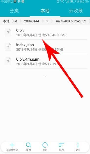 哔哩哔哩缓存的视频在哪个文件夹,探寻视频存储与概述生成奥秘