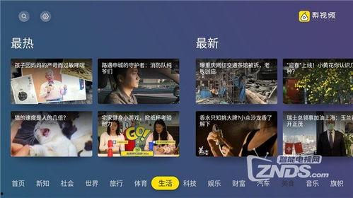 视频影视,探寻影视作品的魅力与内涵