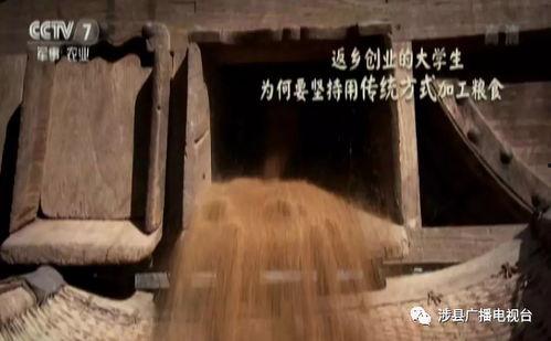驴日人视频,一场穿越时空的奇幻冒险之旅
