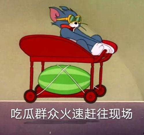 教练吃瓜爆料,吃瓜爆料背后的体育圈风云