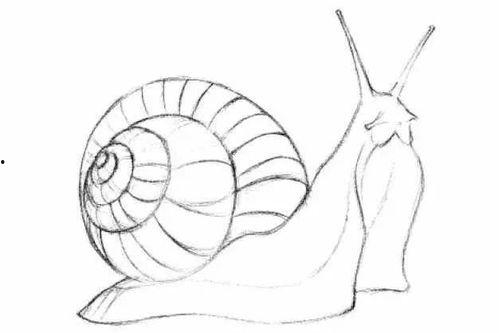 蜗牛简笔画视频,绘制温馨简笔画教程