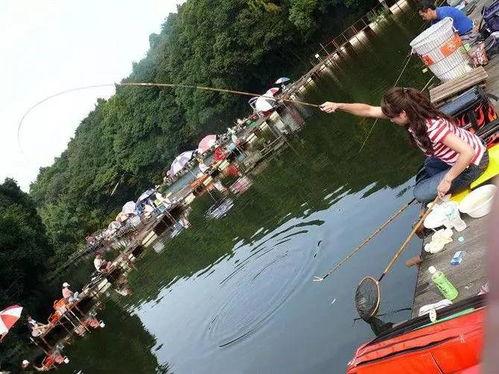 日本黑拉钓法视频,独特技巧与精彩瞬间