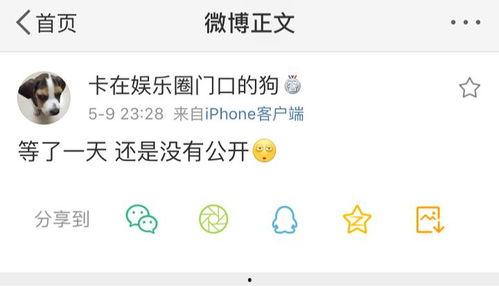 吃瓜爆料音频在线观看全集,音频全集深度解析