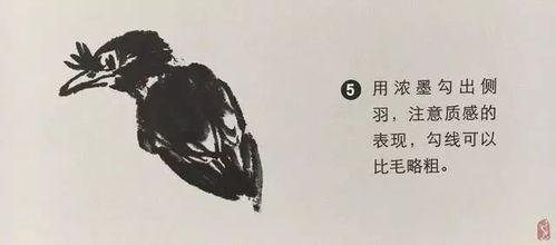 八哥教学视频,轻松掌握鸟类模仿技巧