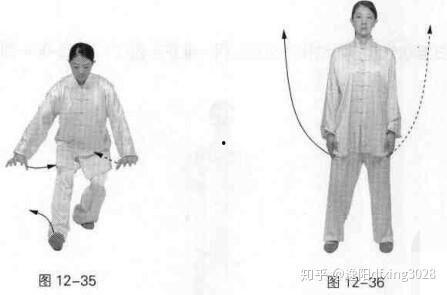 健身气功五禽戏教学视频,跟随专家学养生，轻松掌握健身气功精髓