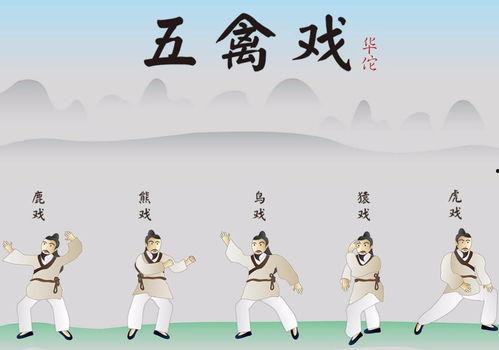 健身气功五禽戏教学视频,跟随专家学养生，轻松掌握健身气功精髓