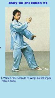 简化24式太极拳视频,轻松入门，养生健身之道
