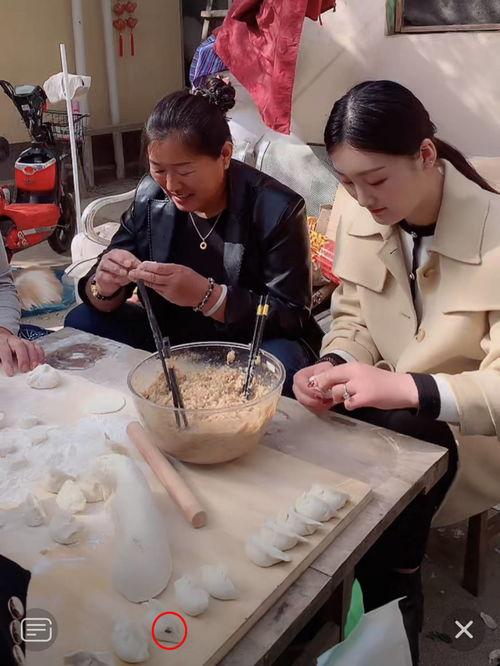 包饺子视频,轻松学会传统美食制作技巧