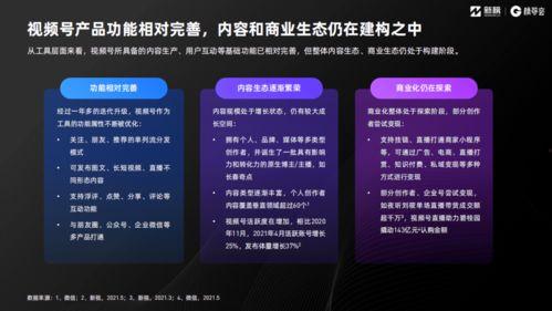 视频.,揭秘XX领域的创新与突破