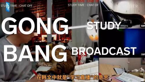 拍视频的英文,Capturing Moments: A Guide to Video Production in English