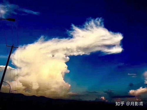 龙在天上飞的视频,空中翱翔的神话传奇