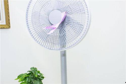 电风扇视频大全
