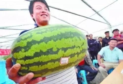 吃瓜爆料7月,吃瓜爆料背后的精彩瞬间