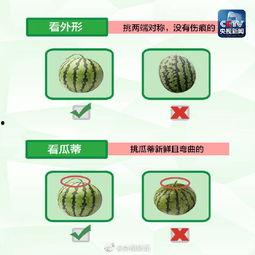 爆料吃瓜模板怎么写的,最新爆料，吃瓜群众速来围观！