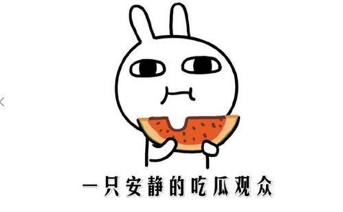 吃瓜黑料新闻,吃瓜黑料背后的真相与反思