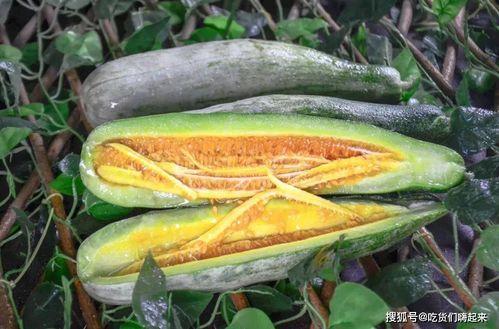 呱呱爆料吃瓜网红,揭秘吃瓜网红背后的故事