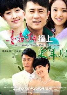 青春期视频,探索成长岁月的蜕变与梦想