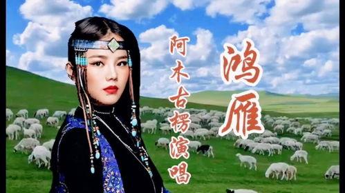 阿木古楞鸿雁视频,探寻草原文化的魅力与传承