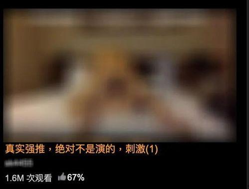 黄视频观看,探索网络短视频背后的秘密与影响