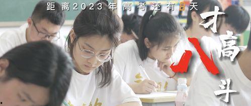 高考视频,揭秘学子奋斗之路