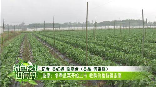 尚坡瓜菜价格今日行情,新鲜直供，价格波动一览