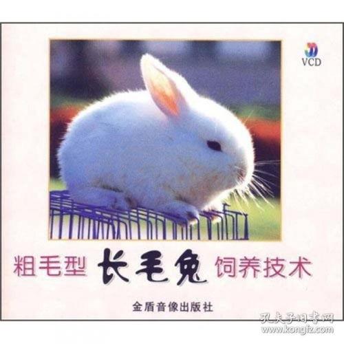 养殖兔子视频,从视频中学到的养殖技巧与经验分享