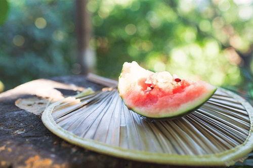 吃瓜爆料 入口,吃瓜爆料背后的真相大揭秘