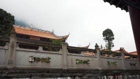 外国人喝白酒搞笑视频,笑料百出！