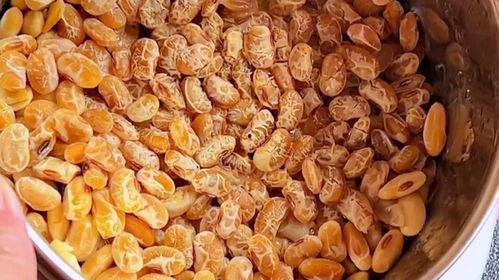 怎样做纳豆视频教程,跟随视频教程一步步学习