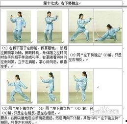 24式简化太极拳视频,轻松入门，体验传统武术魅力