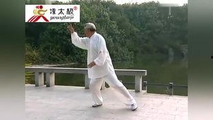 24式简化太极拳视频,轻松入门，体验传统武术魅力