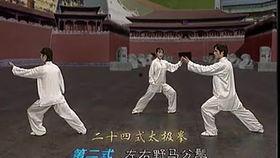 24式简化太极拳视频,轻松入门，体验传统武术魅力
