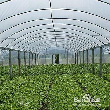 冲施肥的使用方法视频,高效施肥技巧全解析