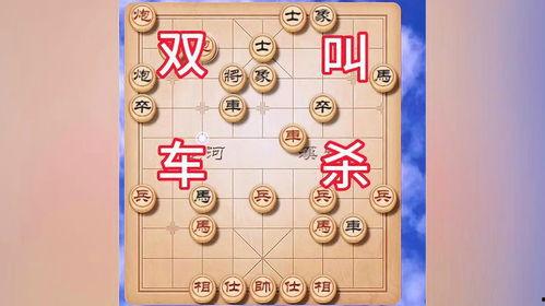 下象棋的视频