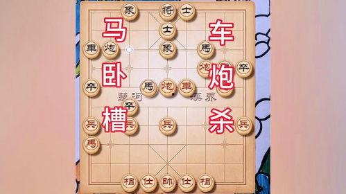下象棋的视频