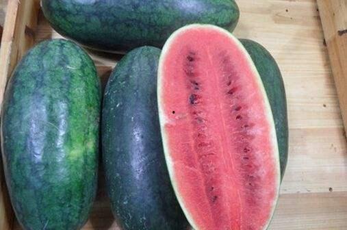 黑料吃瓜张警官,张警官的神秘案件调查纪实