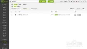 爱奇艺下载的视频格式,揭秘热门视频格式解析与应用