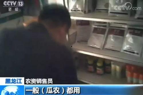 吃瓜黑科爆料视频在线观看