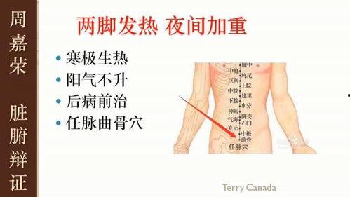 倪海厦针灸学教学视频,揭秘传统针灸精髓与临床应用